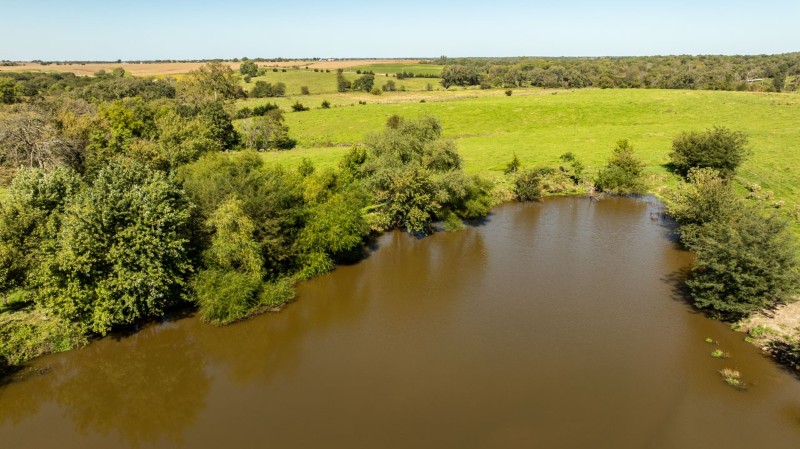 Listing photo 11